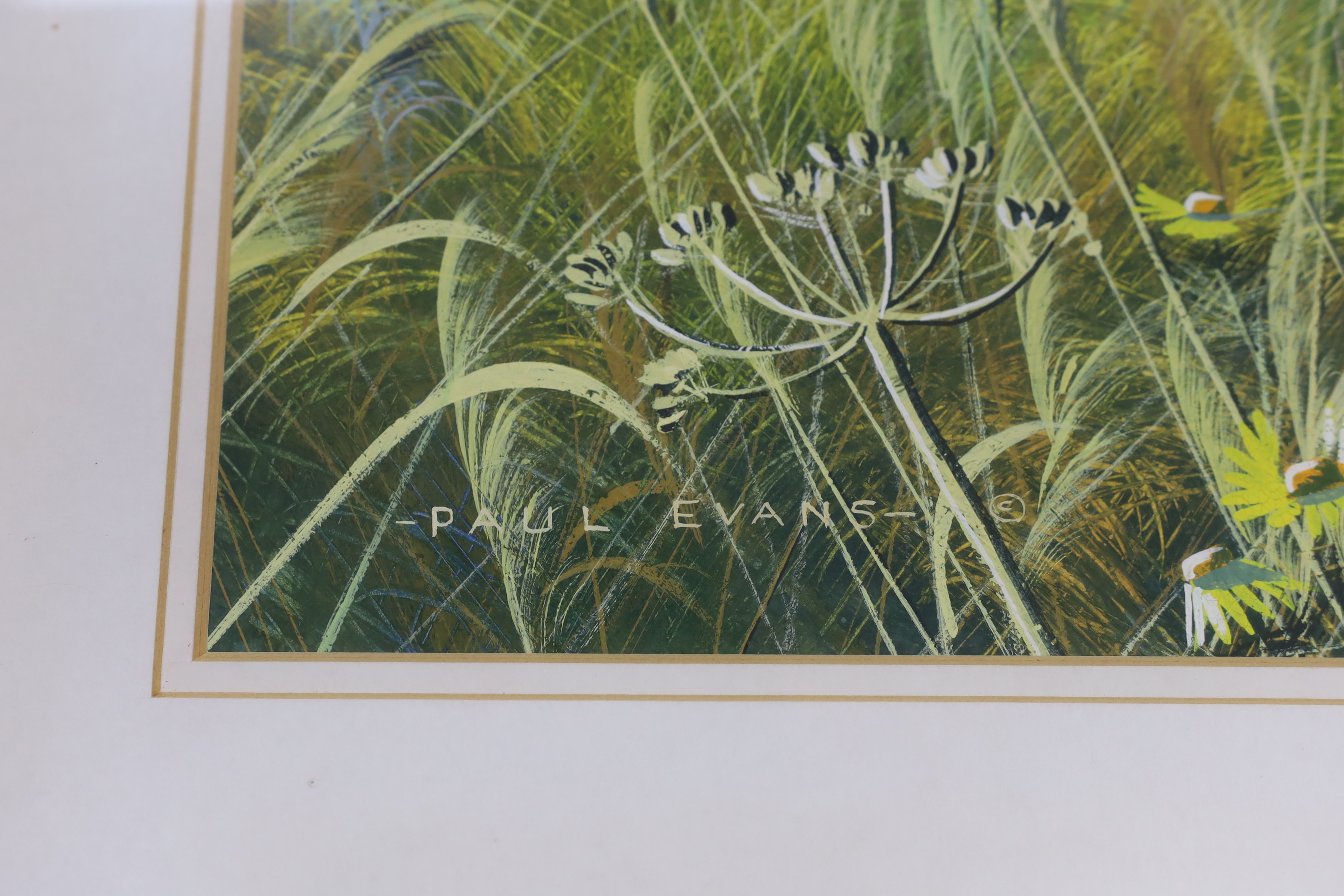 Paul Evans (b.1954), gouache, Meadow landscape with barns, signed, 43 x 55cm